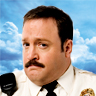 paulblartmallcop_MC_icon_4.jpg