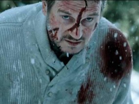 Liam Neeson