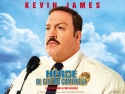 paulblartmallcop_wallpaper03_800x600.jpg