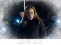 xfiles_wp3_800x600.jpg
